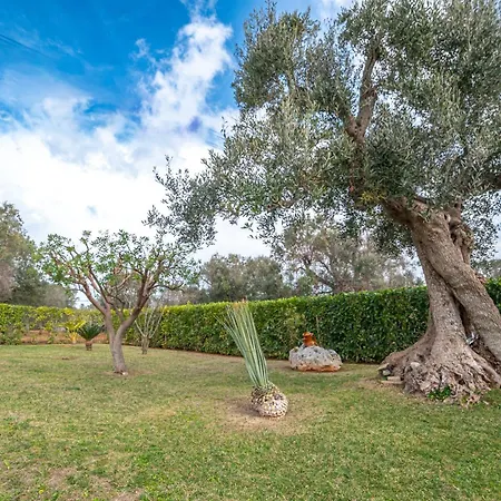 Casa vacanze Il Trullo Di Paolo Nel Cuore Della Campagna San Vito dei Normanni